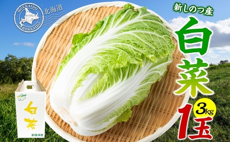 新しのつ産 白菜 1玉 約3kg はくさい ハクサイ 旬 国産 新鮮 北海道産 甘い シャキシャキ 漬物 冬料理 鍋 キムチ サラダ 産地直送 お取り寄せ 北海道 新篠津村 