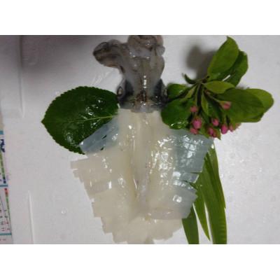 ふるさと納税 対馬市 対馬産アオリイカ1kg |  | 01