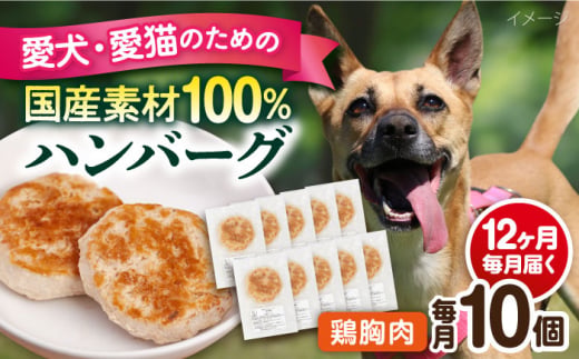 【全12回定期便】ペットフード 鶏むね 100%ハンバーグ 10個セット ペット 犬 猫 手作り 国産 てづくり こだわり ドッグフード  横須賀 【ペットフードYM japan】 [AKEX009]
