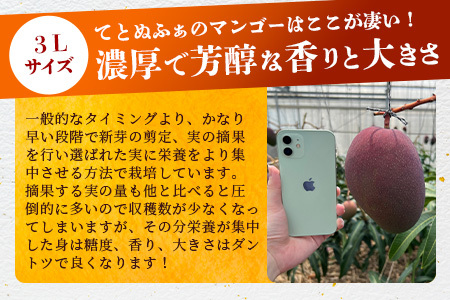 《2024年6月下旬～7月下旬発送》【先行予約】最高糖度20度！？ 完熟！3Lサイズ 石垣島マンゴー 約1kg【家庭用】TF-5