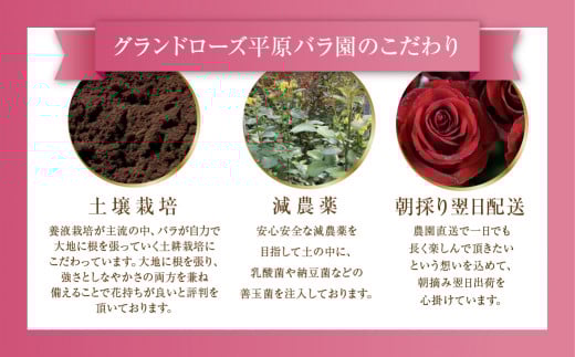 【定期便】3回お届け バラ 花束 50本 チャーミングローズ 花 ( 訳あり 規格外 ご自宅用 ) 薔薇 日時指定可 生花 愛知県 田原市定期便 花 アレンジメント フラワーアレンジメント