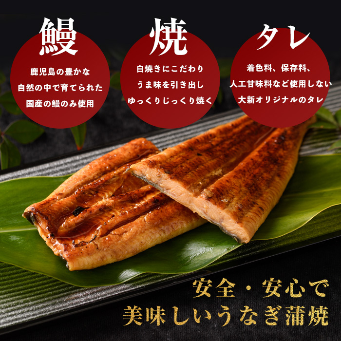 【鹿児島県産】うなぎ蒲焼じっくり焼き約250g×2尾 木目化粧箱入り(大新/020-1107)