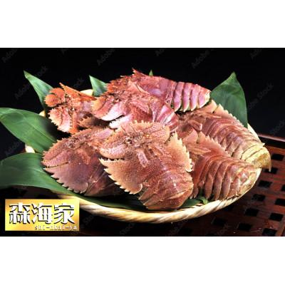 ふるさと納税 東洋町 活き〆ウチワエビ　小500gセット(6〜7尾)天然高知県産!刺身OK!　誰でも簡単調理説明書付き!
