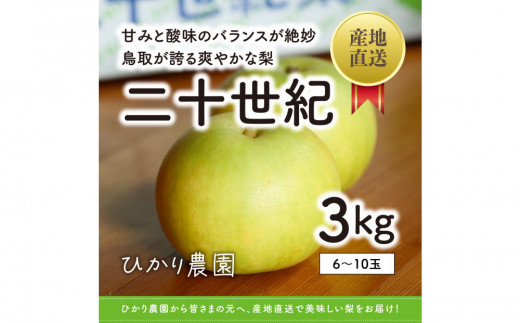 
                  こだわり二十世紀梨 3キロ（ひかり農園）
                