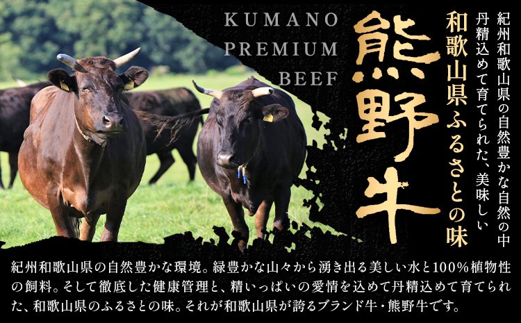牛肉 熊野牛 霜降り スライス 1kg グリーンファーム《30日以内に出荷予定(土日祝除く)》和歌山県 日高川町 熊野牛 スライス しゃぶしゃぶ すき焼き(F-6)