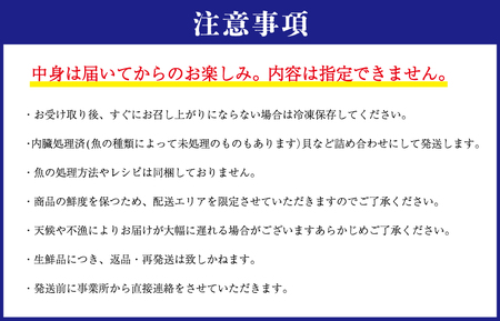 I52 伊勢湾直送!!なにが届くかな！？明和の海産ガチャ！Sサイズ