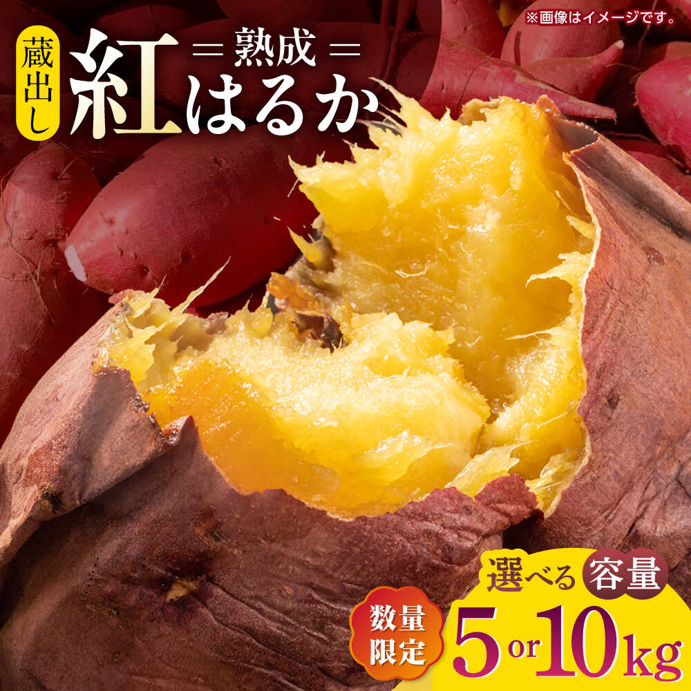 【ふるさと納税】【先行予約】【数量限定】選べる容量！蔵出し 熟成 紅はるか さつまいも 約5kg サイズバラバラ 密 芋 【合同会社 福福堂】[ZCN017] イモ さつま芋 サツマ芋 薩摩芋 蜜芋 お芋 サイズ 大 小 5キロ 人気 名産 ねっとり 甘い 甘味 糖化 甘藷 唐芋 保存 国産