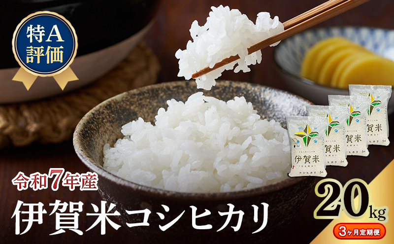 コシヒカリ 伊賀米 令和7年産 特A 定期便 3ヶ月 20kg 精米 伊賀ふるさと農業協同組合 白米 お米 米 ごはん もっちり 産地直送 農家直 三重県 名張市 新米 定期 お楽しみ 3回 銘柄米 令和 炊き立て 食感 無農薬 有機 こだわり おいしい 旨い 甘い