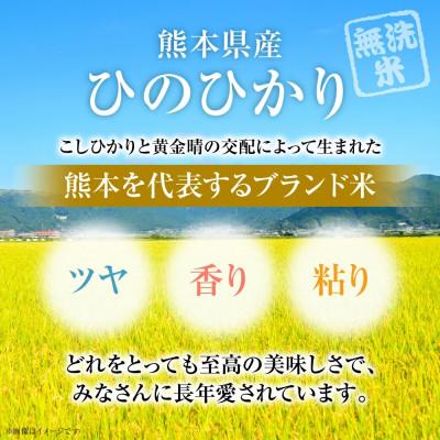 ふるさと納税 八代市 【令和7年産】 熊本県産 無洗米 ひのひかり 計10kg (5kg×2袋)  【八代食糧】 |  | 02