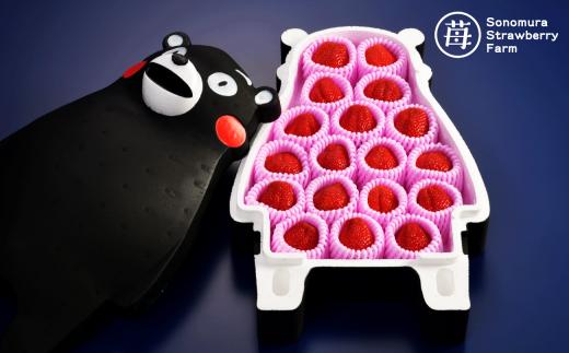 74-52_03【3月発送】園村苺園　先行受付　完熟さちのか苺 in くまモン