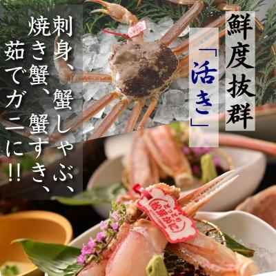 ふるさと納税 八頭町 【活物】特撰 松葉がに(タグ付き)800g超の大きいサイズ　特大2杯 |  | 01