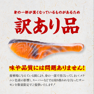 【ふるさと納税】【年内お届け】【訳あり】　骨取りサーモン切身【甲羅組 鮭 銀鮭 訳あり 人気 年末配送 】