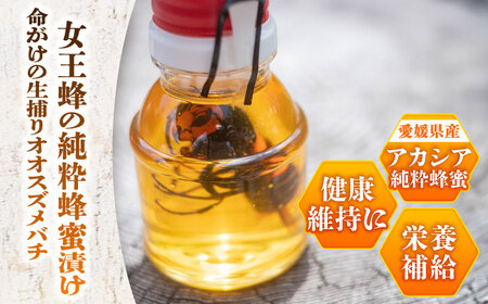 女王蜂の蜂蜜漬け（150g×2本） BKBU001 蜂蜜