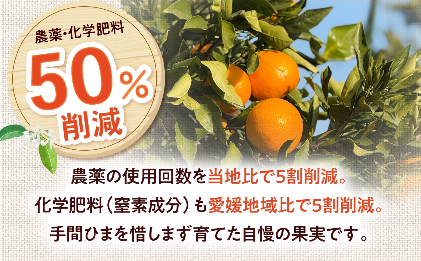 柑橘 蜜柑 みかん ミカン 愛果28号 紅まどんな 訳あり 3kg 小玉 愛媛