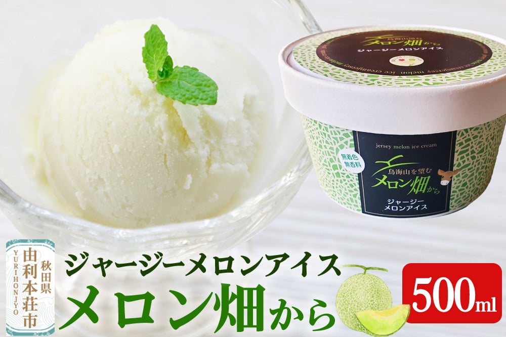 
            ジャージーメロンアイス「メロン畑から」 500ml
          