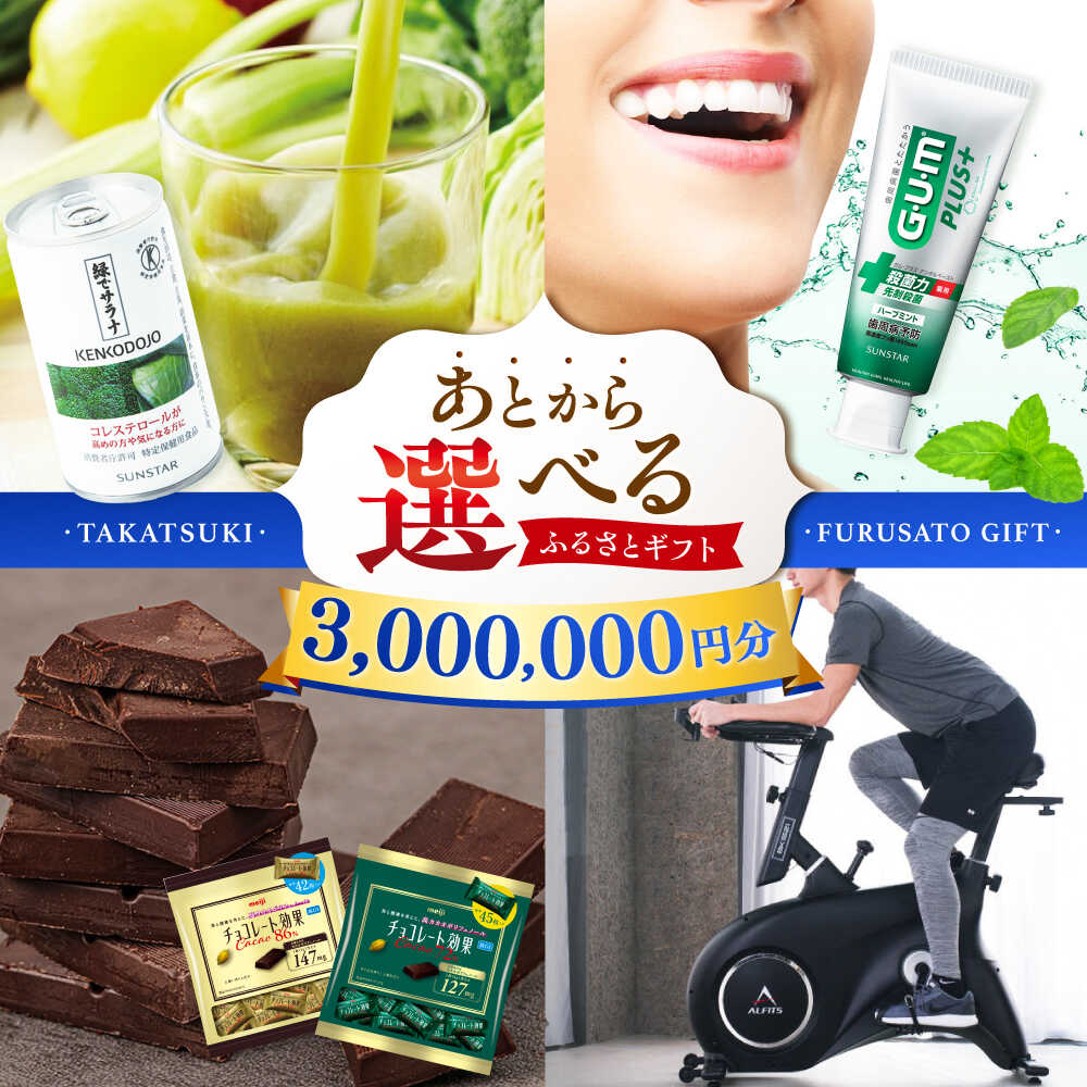 【ふるさと納税】【あとから選べる】高槻市ふるさとギフト 300万円分 チョコ はみがき ダイエット 筋トレ 野菜 ハミガキ 肉 ギフト カタログ あとからセレクト グルメ 食品 お取り寄せ おつまみ 詰め合わせ[AOZZ013]