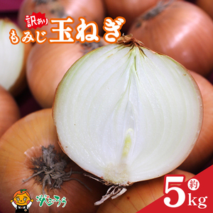 【訳あり】 もみじ玉ねぎ 約5kg 【7月上旬頃?11月下旬頃発送予定】 | 玉ねぎ 松山市 【VEG055】