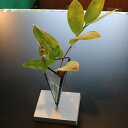【ふるさと納税】三角錐花器 花瓶 ガラス ステンドグラス 工芸品 ふるさと納税 花器