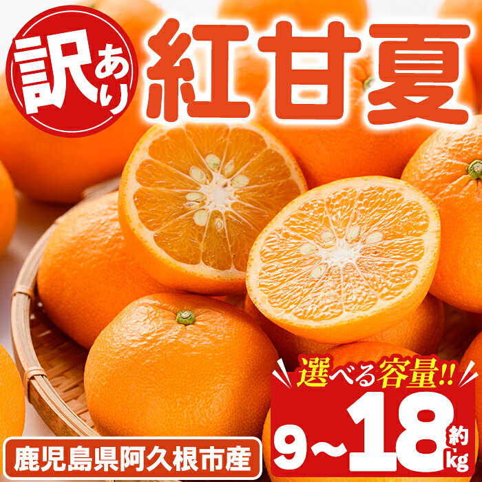 【ふるさと納税】＜先行予約受付中！2027年2月上旬以降順次発送予定＞ ＜内容量が選べる！＞ 訳あり！紅甘夏(約9～18kg) 国産 紅甘夏 柑橘 果物 フルーツ デザート 果実 期間限定 数量限定【古田果樹園】