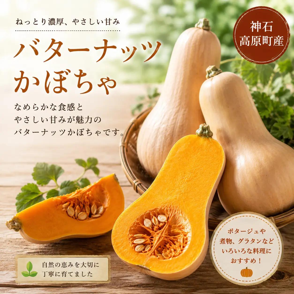 【ふるさと納税】神石高原産 バターナッツかぼちゃ 約4kg クリーミーで濃厚な味わい 国産かぼちゃ｜中ちゃん農園 広島県 神石高原町 野菜