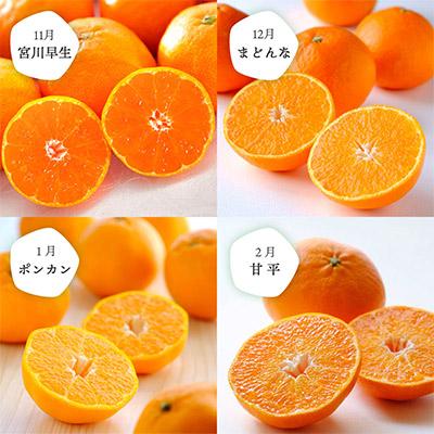 ふるさと納税 八幡浜市 【発送月固定定期便】愛媛の人気品種を厳選! 旬のかんきつ定期便(秀品)全6回【H25-120】 |  | 01