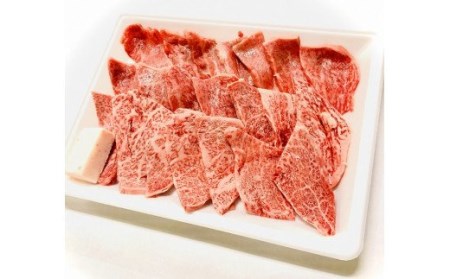 H10_01　先崎畜産　新発田牛ロース（焼肉用）500ｇ