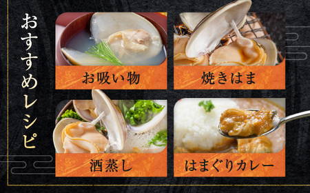 大洗産鹿島灘天然はまぐり 2㎏ 冷蔵 お吸い物 ハマグリ 蛤 貝 砂抜き処理 魚介類 大洗産 天然 はまぐり_BQ009