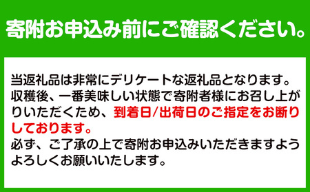 ノーワックス 観音山レモン 特選18玉
