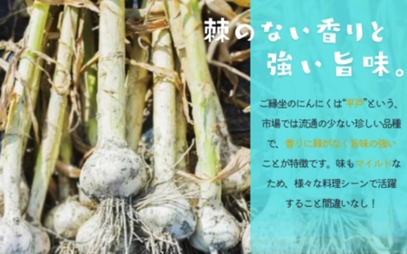 古座川町の恵みが育んだ ご縁座の乾燥にんにく 200g / にんにく 乾燥にんにく ガーリック【gnz106】