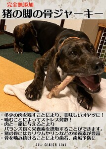 【完全無添加！】猟師が手がける猪の脚と肩甲骨のジャーキーセット【 ペットフード ペットフード  ペットフード  ペットフード 】