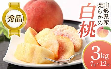 【2026年先行予約】柔らかめ白桃 約3kg（7玉～12玉）秀品 FSY-2531