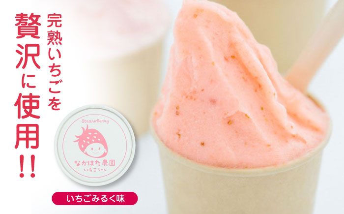 【限定数量】【全12回定期便】熊本県産 いちご ブルーベリー ジェラートセット 計8個 ( 2種 × 各4個 ) アイス カップ 熊本 山都町 冷凍【なかはた農園】[YBI044]