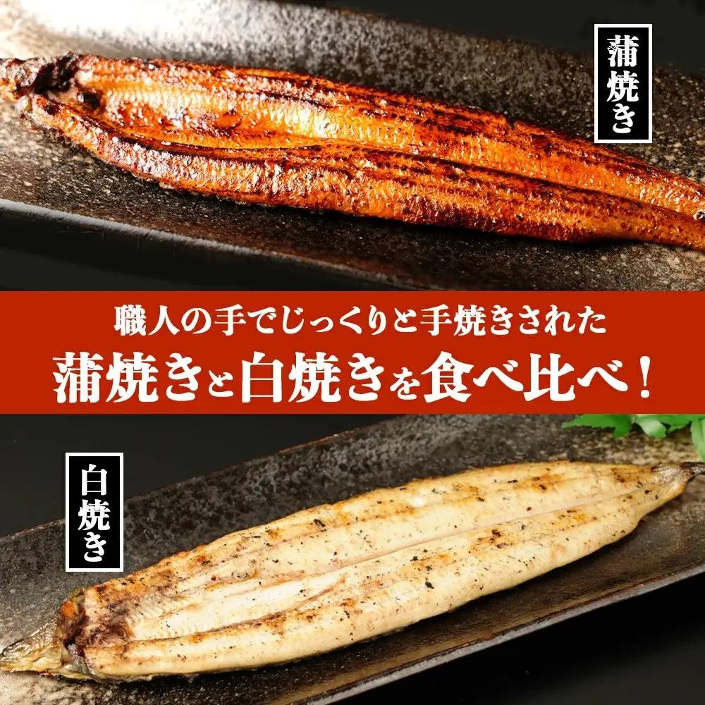 鹿児島県大隅産　千歳鰻 の 白焼 1尾 ・ 蒲焼き 1尾　合計2尾セット｜うなぎ うなぎ
