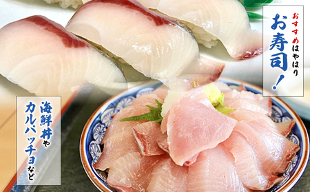 ＜訳あり 超冷薫 冷凍ぶりスライス 合計80枚（10g 10枚入り×8パック）3カ月定期便＞ブリ 鰤 魚介類 水産物 海鮮 海産物 国産 新鮮 刺身 寿司 丼 血抜き 株式会社SakuSaku 愛媛県