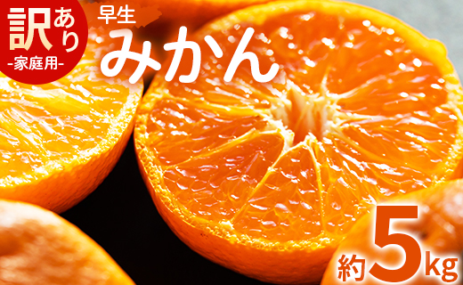 家庭用 訳あり 早生みかん 約5kg（Lサイズ） - 家庭用 フルーツ みかん 柑橘 be-0071