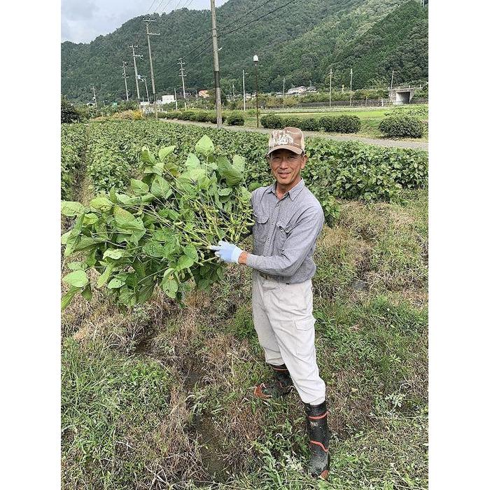【ふるさと納税】【2025年10月以降発送】うわっ！ビックリする大きさと味の濃さ！黒枝豆 1.2kg ( 300g × 4袋 ) プレミアム枝豆 期間限定 黒枝豆 えだまめ エダマメ お取り寄せグルメ 高級 特産品 名産品 おつまみ おうち居酒屋