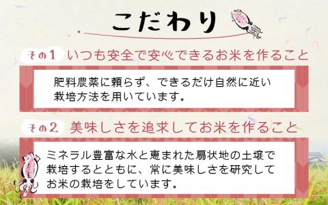 ほたるいか米（無洗米20kg）　ホタルイカを肥料に使ったコシヒカリ