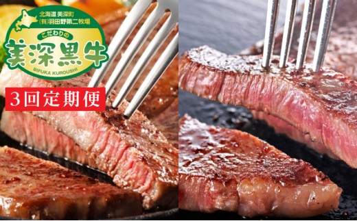 
                  北海道産 黒牛ステーキセット定期便（リブロース180g×2・サーロイン180g×2）【こだわりの美深黒牛】 お肉 牛肉 
                