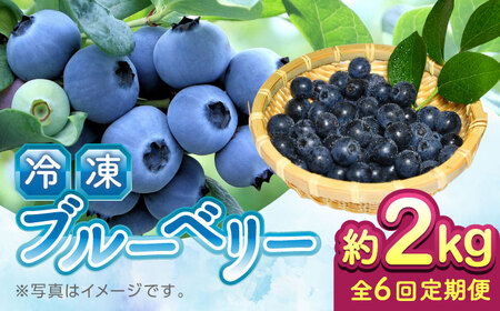 【全6回定期便】【加工用】冷凍ブルーベリー 2kg ブルーベリー ブルーベリー ブルーベリー ブルーベリー ブルーベリー[YAL030]