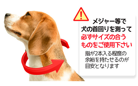 No.461-03 犬の首輪＆リードセット さんぽ用 ポンダープラス イエロー L ／ ペット用品 犬用品 ペットグッズ 散歩グッズ ワンタッチ 着脱簡単 ロック付き 高耐久 おしゃれ 丈夫 カラフル
