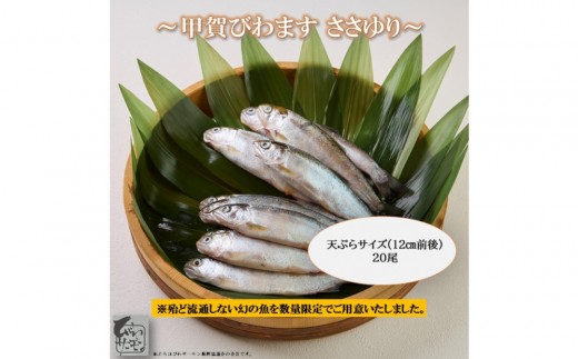 
                  甲賀びわます “ささゆり” 天ぷらサイズ 5尾入り×4パック びわます 希少 魚介類 水産 食品 人気 おすすめ (178824-40037675)
                