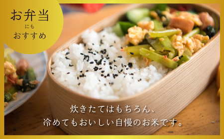 【こしひかり】 幻の米コシヒカリ 5kg 令和7年産（7-73）