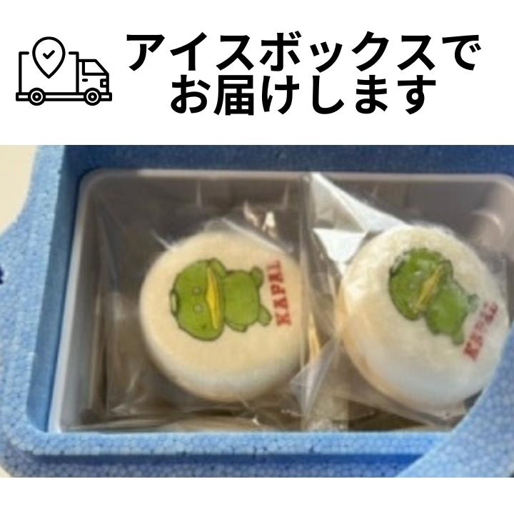 カパル最中アイス（ミルク味3個・チョコ味3個）6個セット