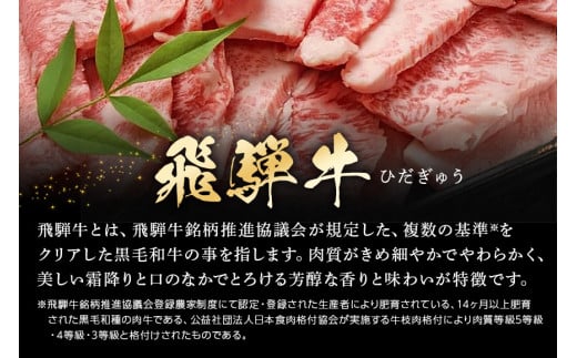 507. 配送日指定可能「飛騨牛カルビー焼肉用 500g」冷蔵配送 150日先まで先行予約可能 焼き肉 バーベキュー BBQ 黒毛和牛 2人前 3人前