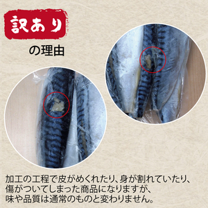 訳あり 昆布塩さば 1kg