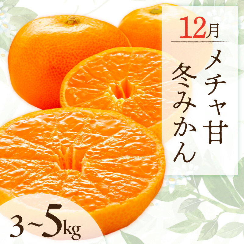 【ふるさと納税】12月の御浜柑橘 メチャ甘冬みかん 3～5kg │ 早生 マルチ栽培 光センサー選果 国産 柑橘 フルーツ 果物 旬 食品 産地直送 期間限定