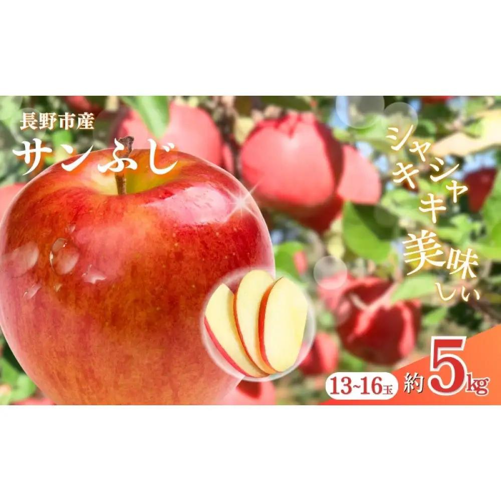 おかべ農園　長野市産サンふじ 約5kg(13～16玉)【2026年12月上旬頃発送予定】OKABE fruits  |リンゴ リンゴ
