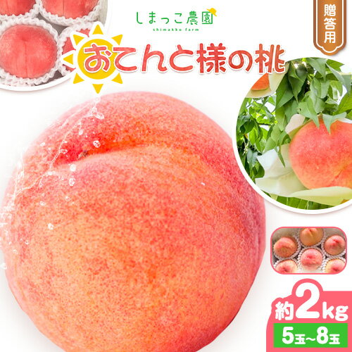 【ふるさと納税】贈答用 おてんと様の桃 約2kg(5-8玉) しまっこ農園《2026年6月上旬-8月中旬頃出荷(土日祝除く)》 和歌山県 紀の川市 もも モモ 果物 フルーツ