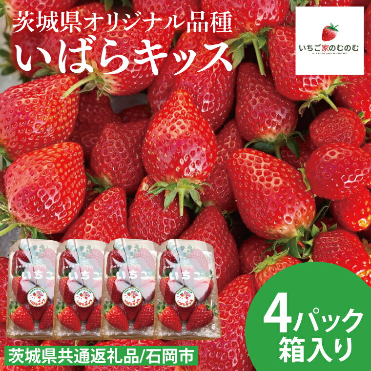 【ふるさと納税】【数量限定】【離島配送不可】いばらキッス 4パック/箱【茨城県共通返礼品/石岡市】【いちご イチゴ 苺 果物 くだもの フルーツ 茨城県オリジナル品種 茨城県】（LX-2）