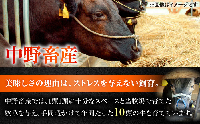 黒毛和牛 ハンバーグ 6個 (120g×1個入×6パック) 【株式会社中野畜産】 [BHAQ001]